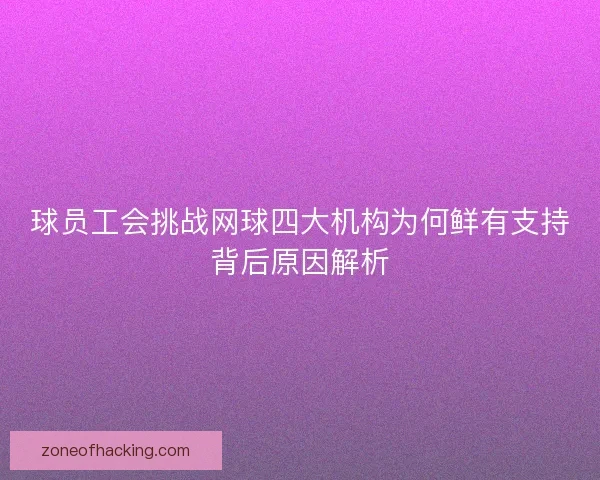 球员工会挑战网球四大机构为何鲜有支持背后原因解析